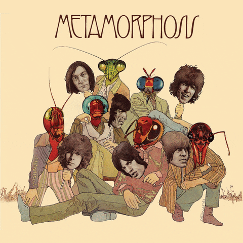 The Rolling Stones Metamorphosis GIF by uDiscoverMusic