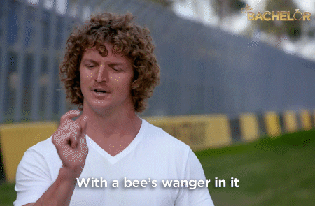 Honey Badger Bachelor Au GIF by The Bachelor Australia - Find & Share on GIPHY