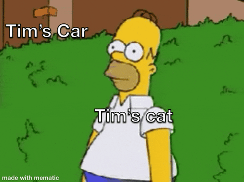 tim's car and cat gif