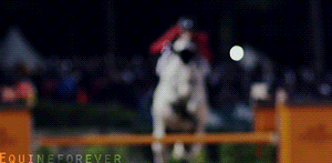 Show Jumping GIF - Find & Share on GIPHY