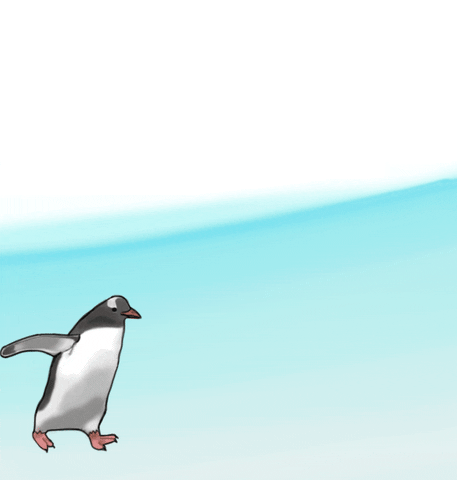 Penguin GIF - Find & Share on GIPHY
