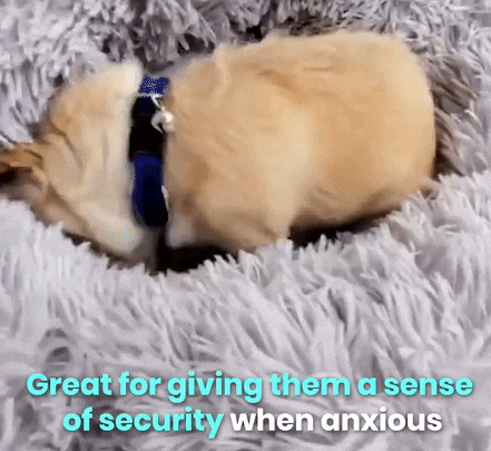 Calmate™ Calming Donut Dog Bed in Shag Fur Self-Warming Fluffy Dog Cal –  Deco26