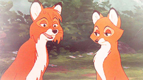 Fox Love GIF