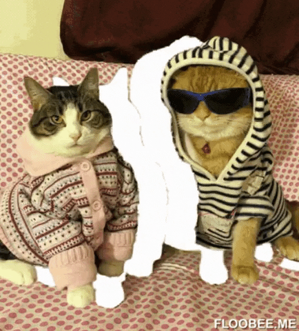 Catto in hoodie in gifgame gifs