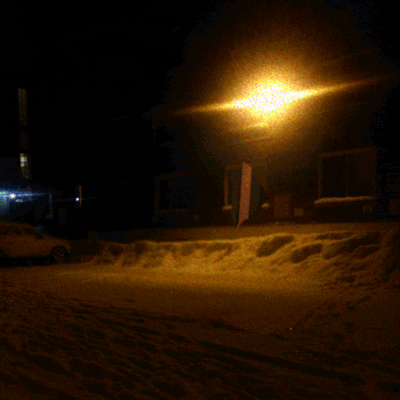 Exhibitionist GIFs - Get the best GIF on GIPHY