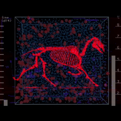 an animated skeleton of a horse jumping on a dotted axis plain