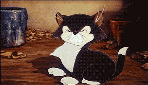 Gif of black and white kitten from Disney film, Pinocchio, shaking head and frowning