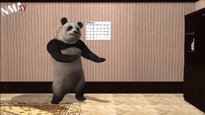 April Fools Day Dancing GIF  Find  Share on GIPHY
