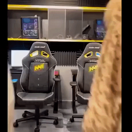 giphy.gif