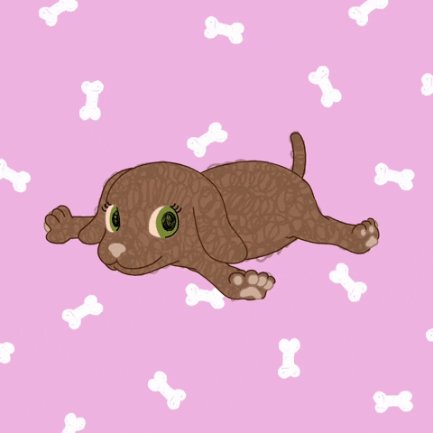 giphy.gif