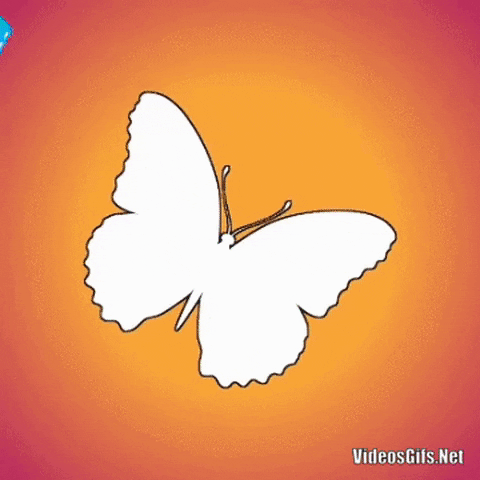 Butterfly in gifgame gifs