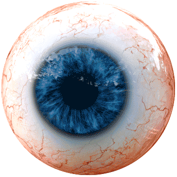 eye