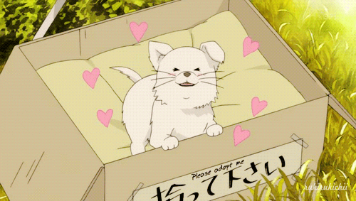 GIF