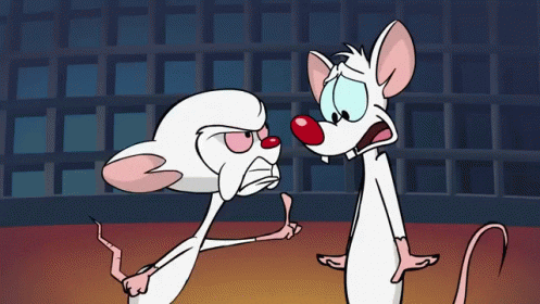 Pinky And The Brain GIFs - Find & Share on GIPHY