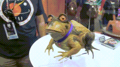 Life Frog GIF - Find & Share on GIPHY