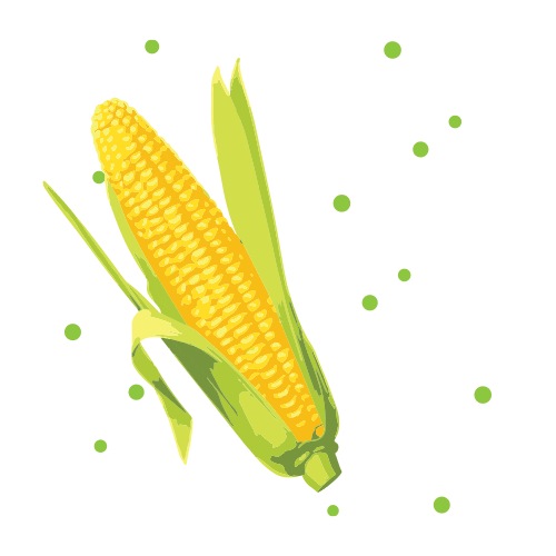 Corn On The Cob Sticker by Meredith College for iOS & Android GIPHY