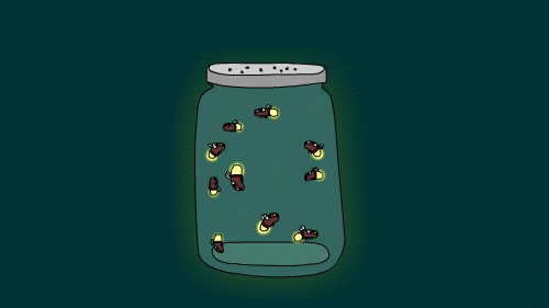 Fireflies GIFs - Find & Share on GIPHY