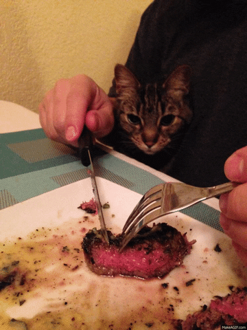  steak GIF