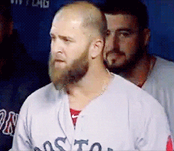 Boston Red Sox GIF - Find & Share on GIPHY