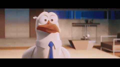 giphy.gif