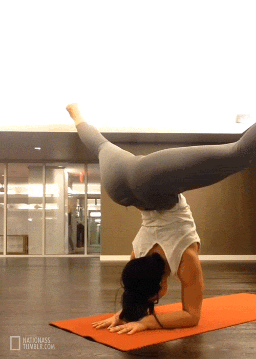 Gymnastics GIF Find & Share on GIPHY