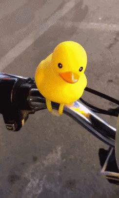 Safety first in funny gifs