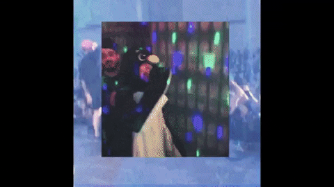 Rock Hardcore GIF by Pure Noise Records - Find & Share on GIPHY