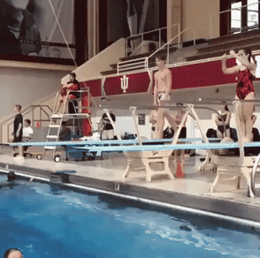 One skilled diver in funny gifs