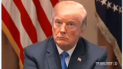 gif of Trump doing double take