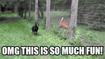 On Your Mark Get Set Go Gifs Find Share On Giphy On Your Mark Get Set Go Gifs Find Share On Giphy