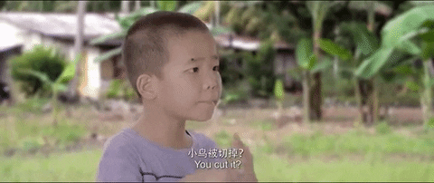 giphy.gif