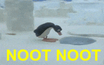 giphy.gif