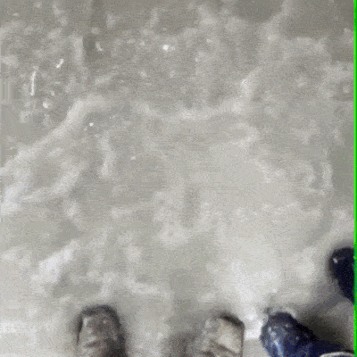 15 гифок, чей неожиданный конец гарантированно вас удивит гифки с неожиданным концом, гифки с неожиданным завершением, неожиданные гифки