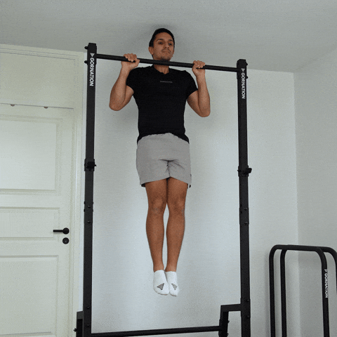 pull up top hold with knee raises exercise demonstration
