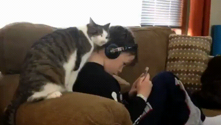 Cat Rubs its Head into Boy's Head Listening Music