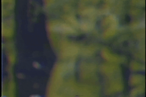Drinking Buddies Cheers GIF by Colsons Beer