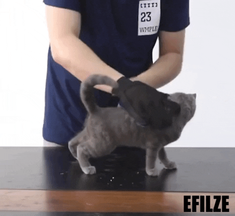EFILZE | EZ-LIFE - Pet Grooming Glove for easy shedding control