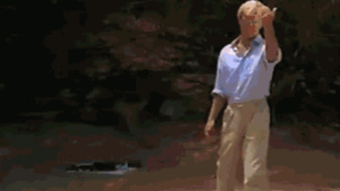 Bleeding Hard Ticket To Hawaii Gif By Cheezburger Find Share On Giphy Bleeding Hard Ticket To Hawaii Gif By Cheezburger Find Share On Giphy