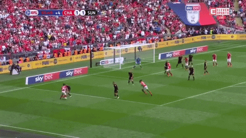 Charlton GIF by nss sports