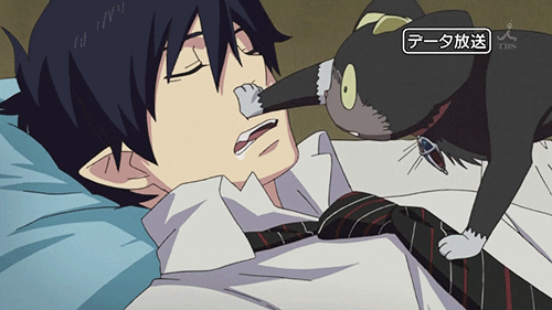 Rin Okumura GIFs - Find & Share on GIPHY