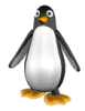 penguin