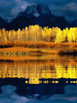 Image result for gif Reflections in landscapes gif