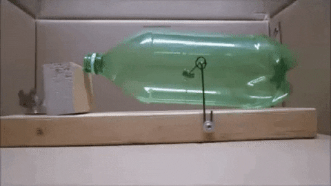 giphy.gif