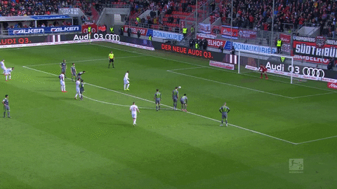 2. Bundesliga Football GIF by 1. FC Köln