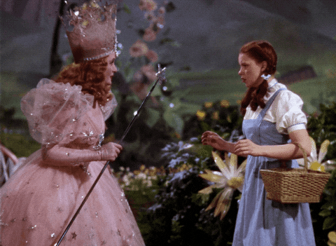 wizard of oz gif of Dorothy turning to look at Glinda