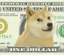 Dogecoin-kya-hai | Dogecoin-Price-kya-hai