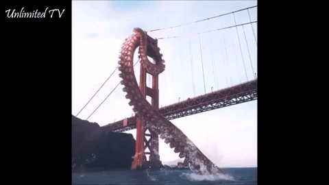 dance shark bridge