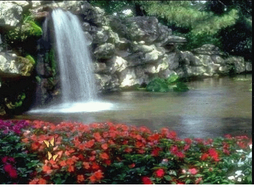 Waterfall GIF - Find & Share on GIPHY