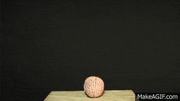 Gif thesis defense 06 picture