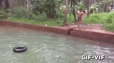 Perfect Dive in funny gifs